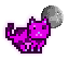 MoonCat 11360