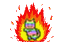 MoonCat 20473