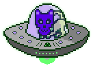MoonCat 222