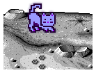 MoonCat 23767
